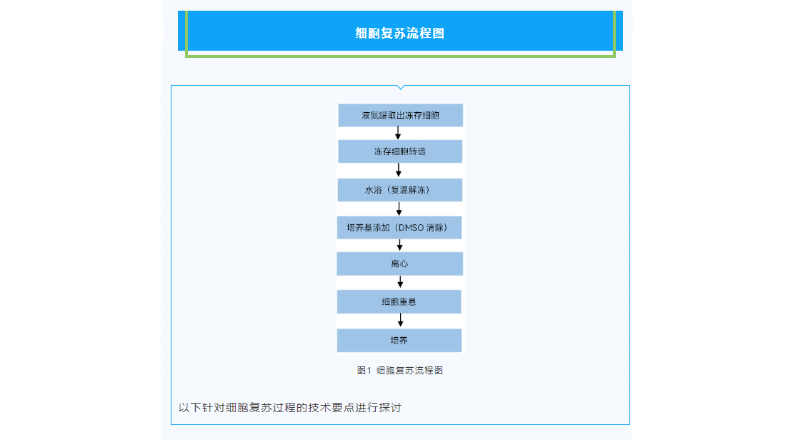 图层-36.jpg