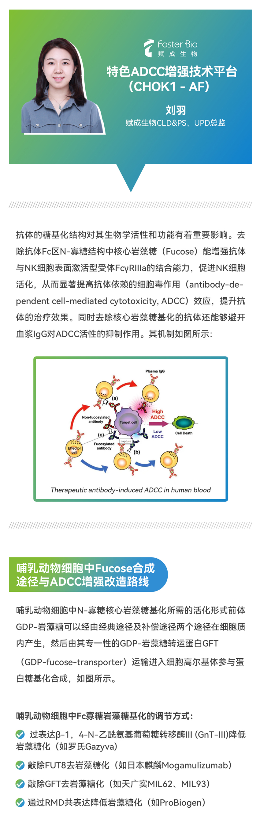 网站用-1.jpg